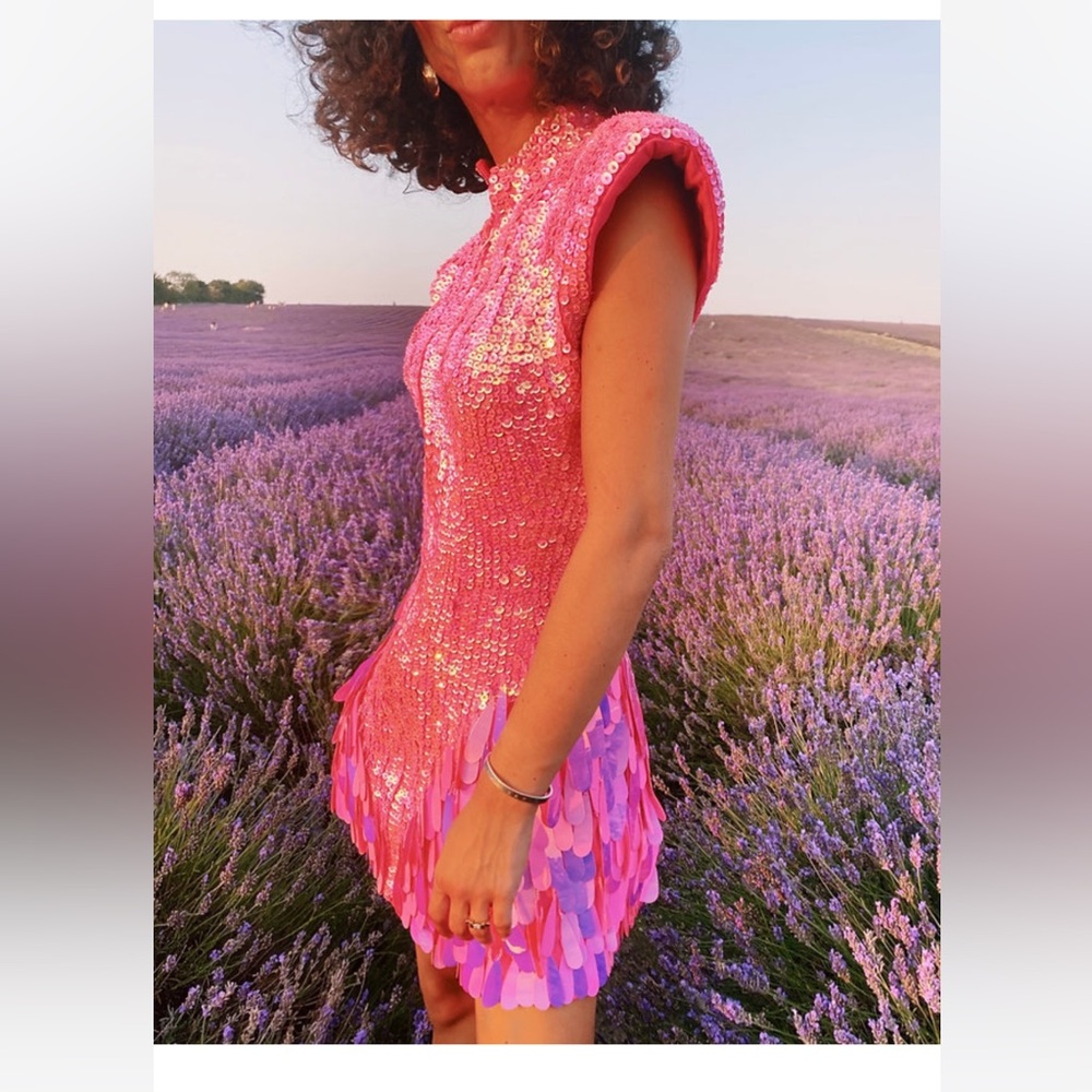 Heyami Electric Pink Disuko Dress NWT US 4